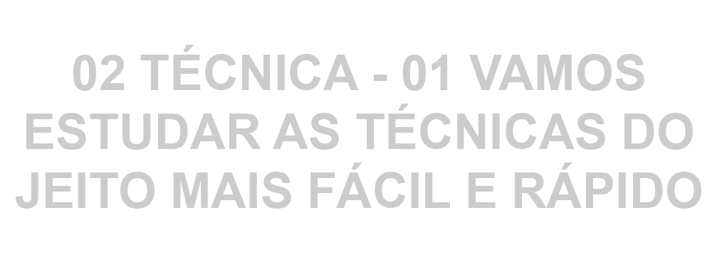02 TÉCNICA - fidi